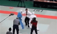 妈的智障我这爆脾气 妈的智障我这爆脾气