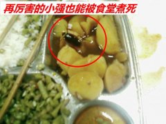 再牛逼的小强也干不过食堂的大师傅啊