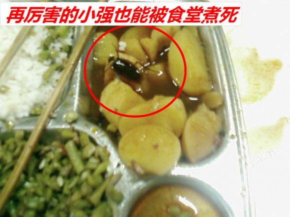 再牛逼的小强也干不过食堂的大师傅啊