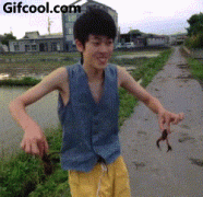 我在路上见到了两只小龙虾