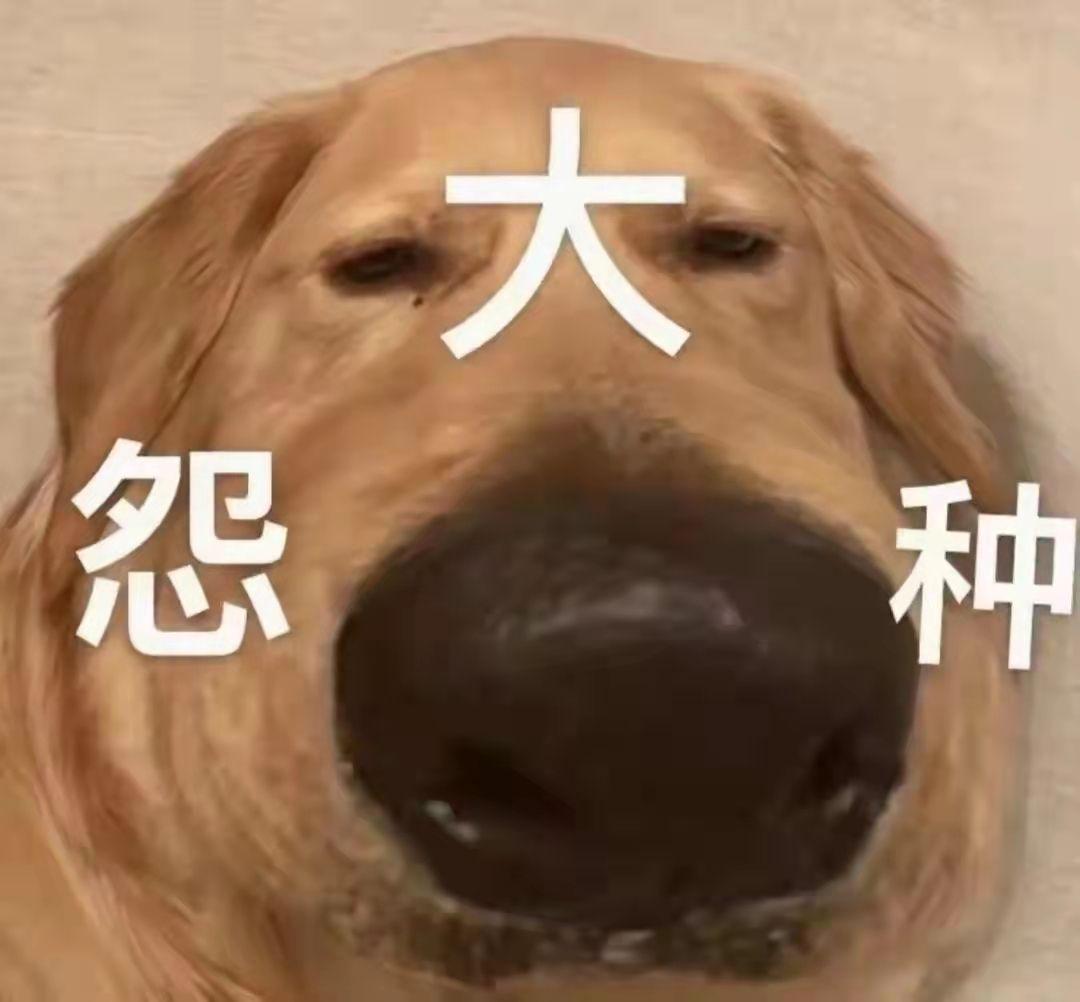 当代卓别林级幽默|那些一看就有“大病”的沙雕文案 当代卓别林级幽默|那些一看就有“大病”的沙雕文案