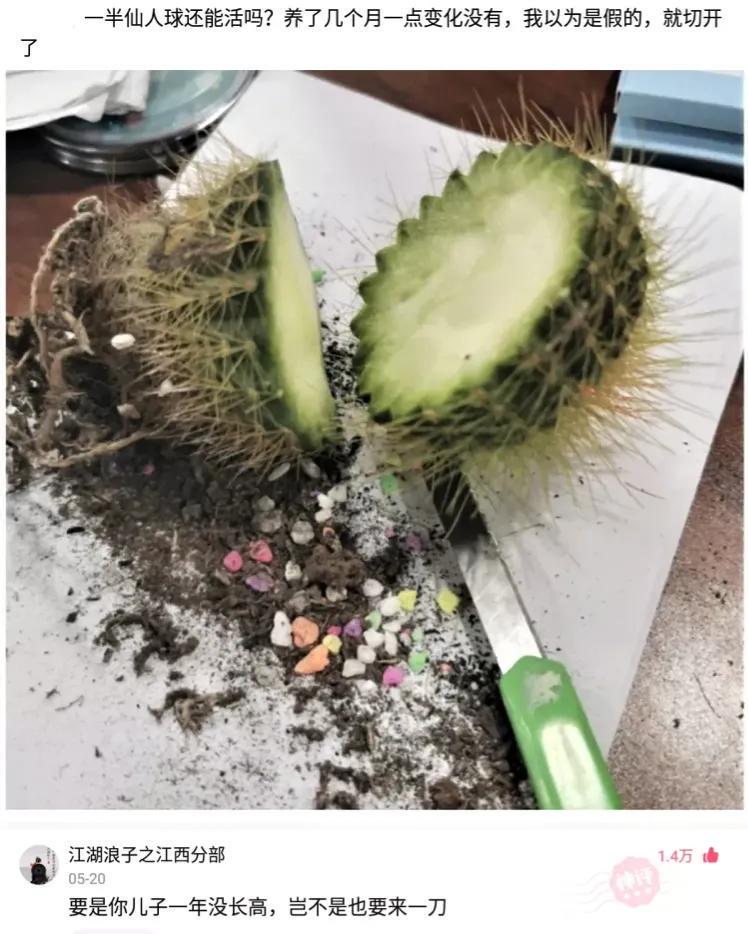 滴滴司机和“极品”富婆的聊天记录流出…贫穷限制了我的想象!哈哈哈哈 滴滴司机和“极品”富婆的聊天记录流出…贫穷限制了我的想象!哈哈哈哈
