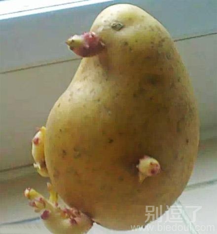 看看我,再看看你。 看看我,再看看你。