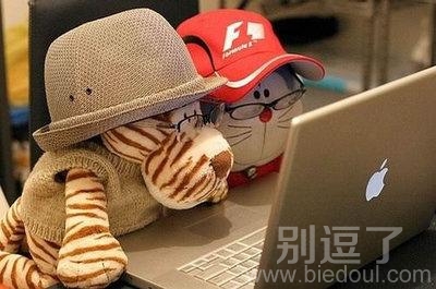 我也要这样的宠物