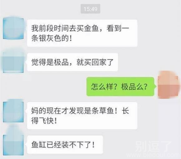 我觉得还是买个锅合适 我觉得还是买个锅合适