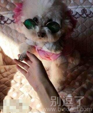 有着一个美丽的公主梦 有着一个美丽的公主梦