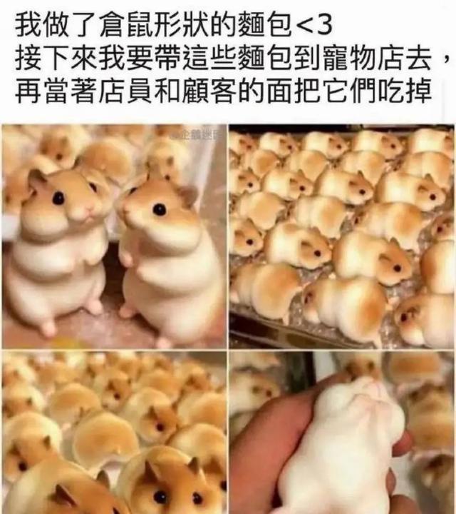 神回复:朋友请我吃很好吃的烧烤,请问这是什么肉?评论笑不活了 神回复:朋友请我吃很好吃的烧烤,请问这是什么肉?评论笑不活了