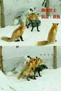 壮士，别走啊，救我