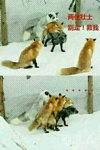 壮士，别走啊，救我