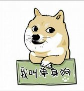 我是伟大的单身狗 我是伟大的单身狗