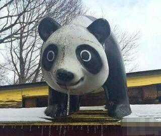 一只饿了的熊猫