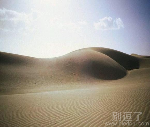 一片广阔无垠的沙漠。