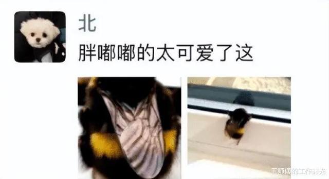 “只允许带十块钱的物品穿越,怎样才能混得风生水起?” “只允许带十块钱的物品穿越,怎样才能混得风生水起?”
