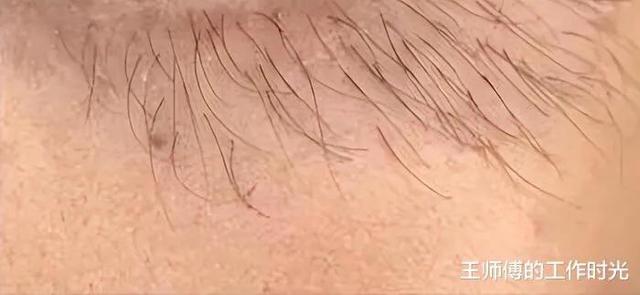 “只允许带十块钱的物品穿越,怎样才能混得风生水起?” “只允许带十块钱的物品穿越,怎样才能混得风生水起?”