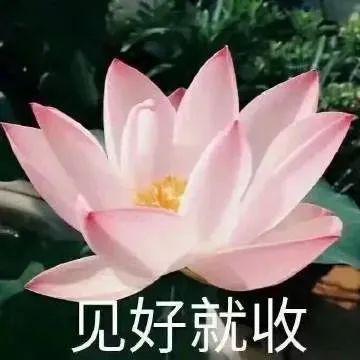 神图:拉屎真能赚钱! 神图:拉屎真能赚钱!