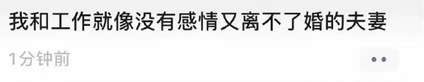 轻松一刻 :这次事故,我觉得圆女士说的很有道理 轻松一刻 :这次事故,我觉得圆女士说的很有道理