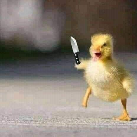 轻松一刻 :这次事故,我觉得圆女士说的很有道理 轻松一刻 :这次事故,我觉得圆女士说的很有道理