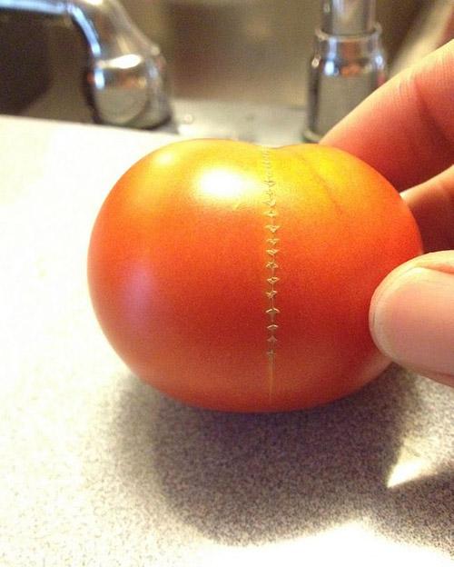 据说每一个医生都从西红柿开始！