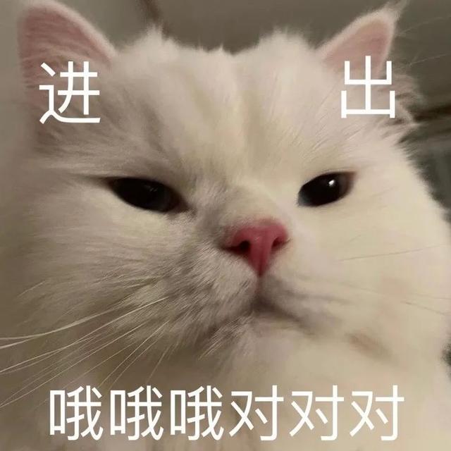 新一波表情包到货