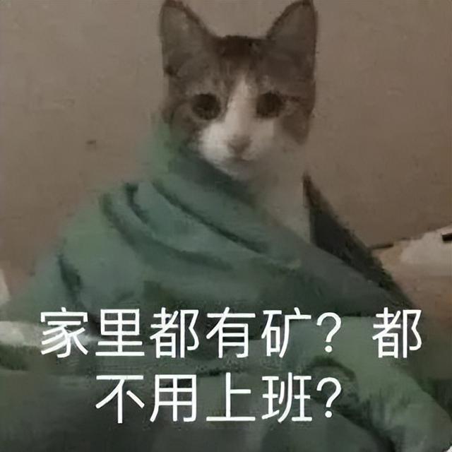 新一波表情包到货