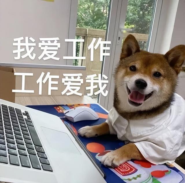 新一波表情包到货
