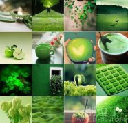 青青的绿色世界一副