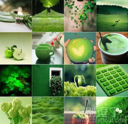 青青的绿色世界一副 青青的绿色世界一副