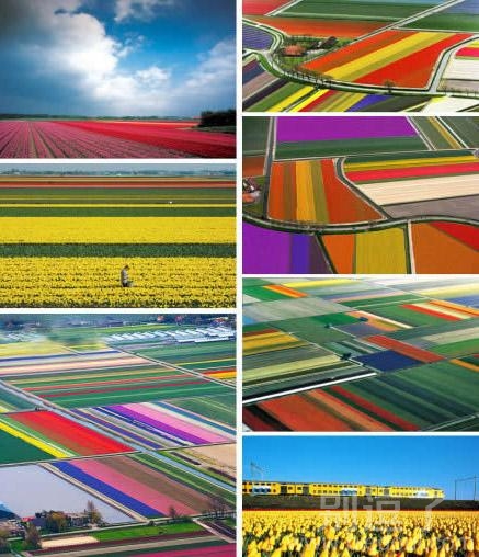 五彩斑斓的世界! 五彩斑斓的世界!