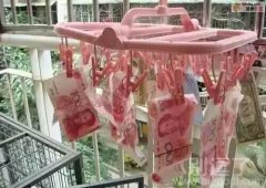 不带这样炫富的吧 不带这样炫富的吧