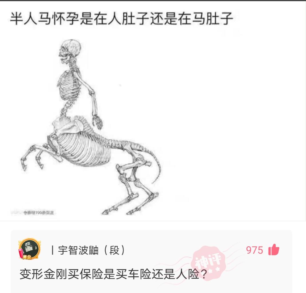 爆笑神评:人类大便要擦屁股,动物为什么不用?神评这是要笑死我 爆笑神评:人类大便要擦屁股,动物为什么不用?神评这是要笑死我