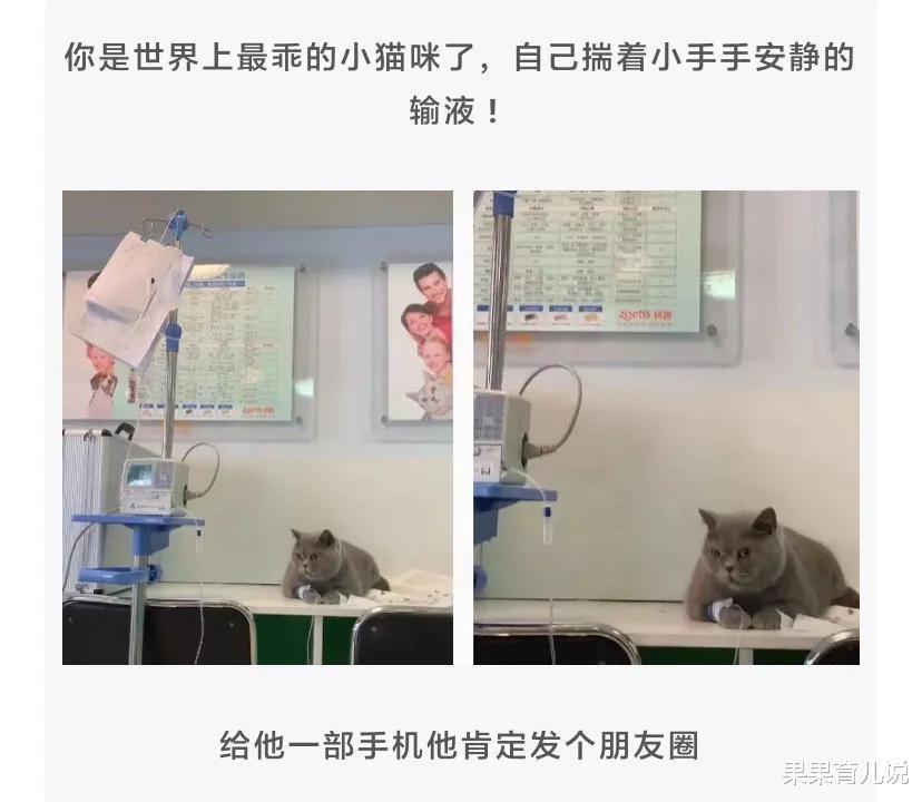 结婚才一个多月,就变成了这样,还能退货吗 结婚才一个多月,就变成了这样,还能退货吗