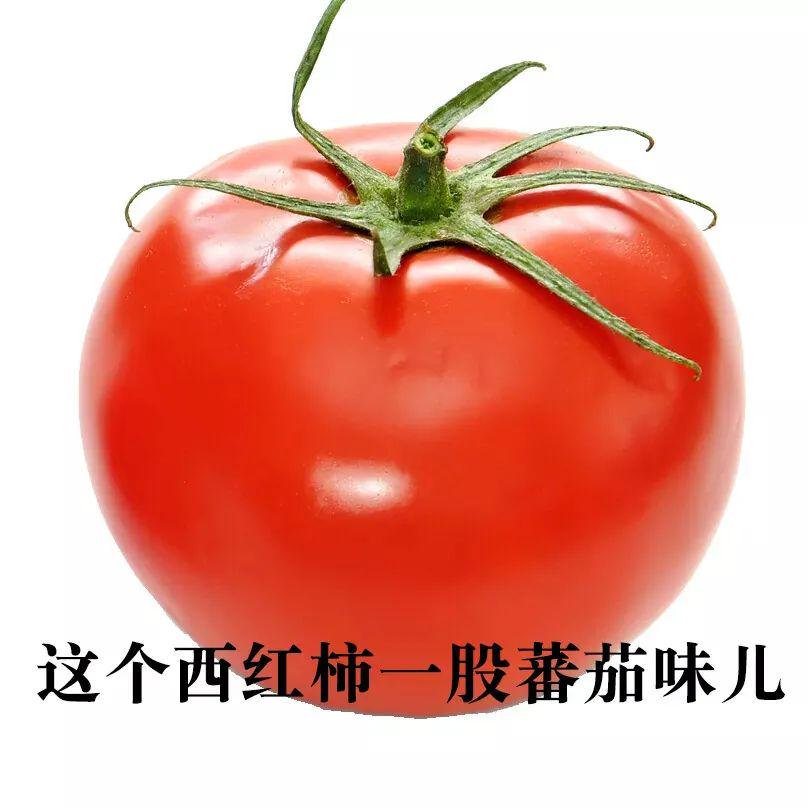 60个聊天时废话文学表情包