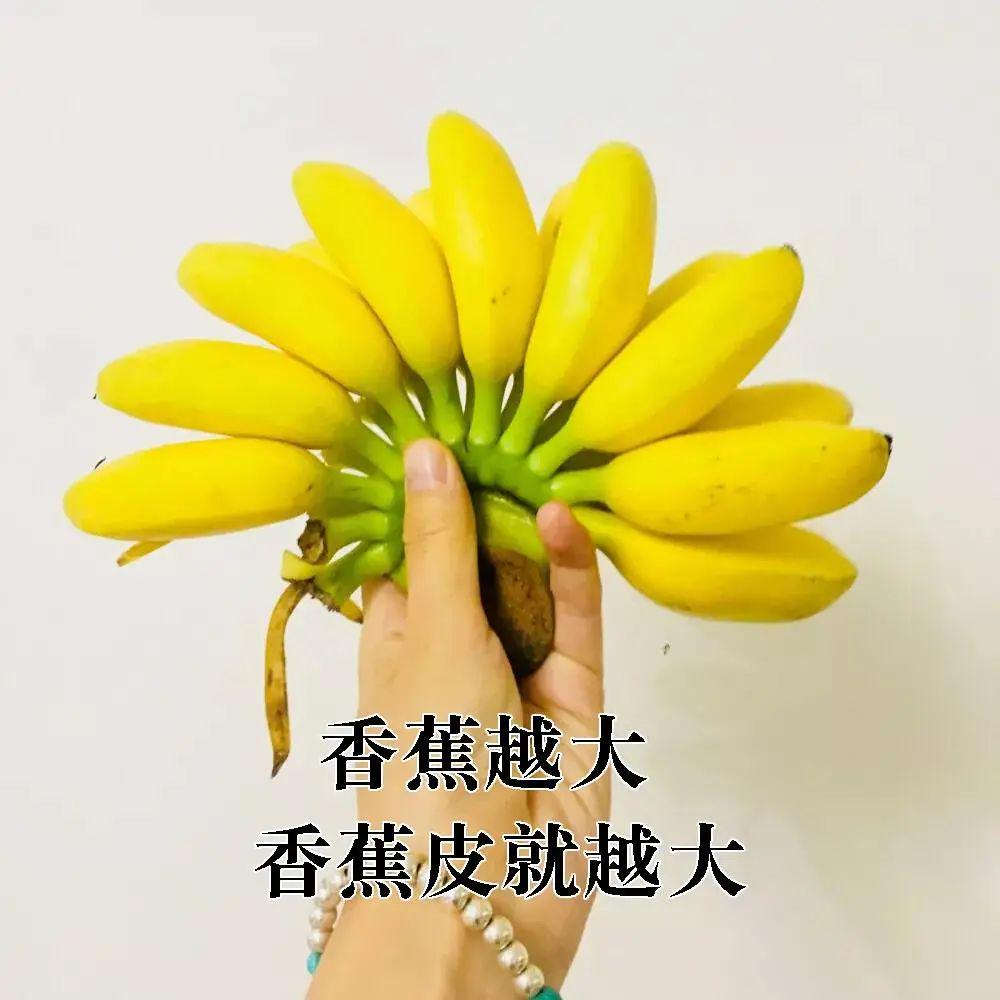 60个聊天时废话文学表情包