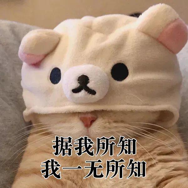 60个聊天时废话文学表情包