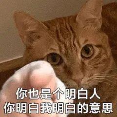 60个聊天时废话文学表情包