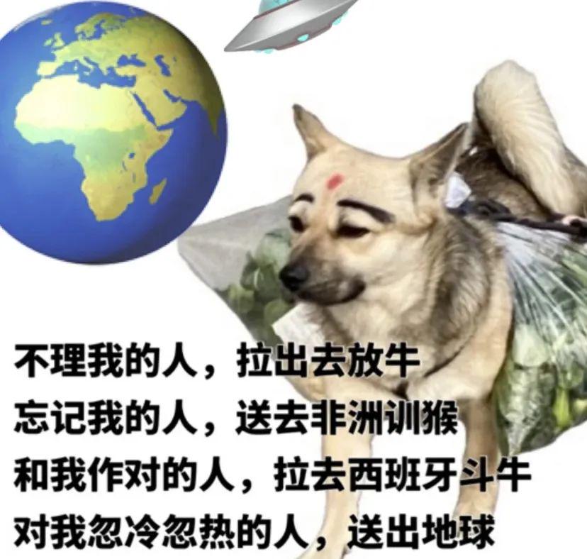 60个聊天时废话文学表情包
