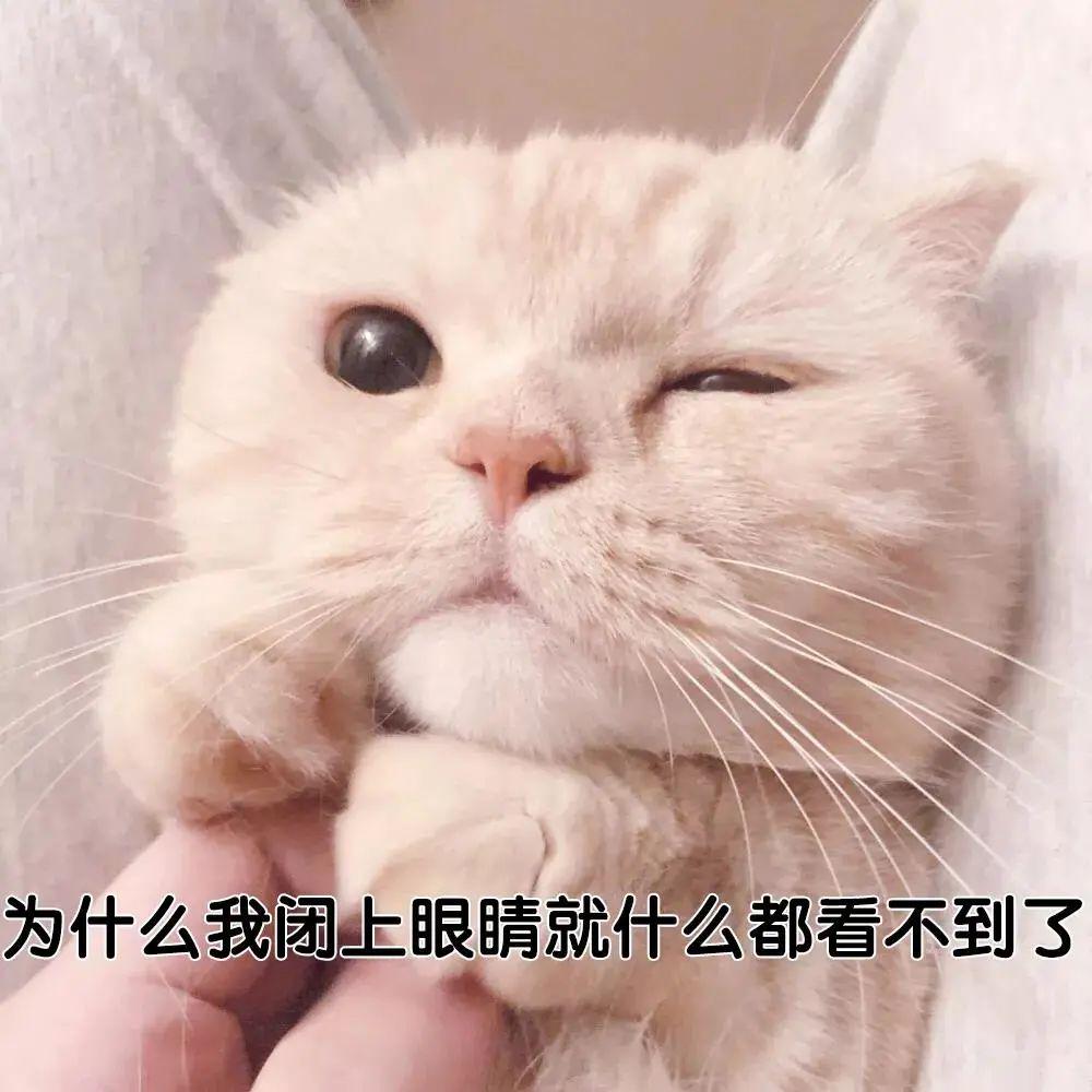 60个聊天时废话文学表情包