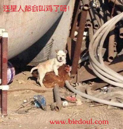 这个世界太疯狂了！