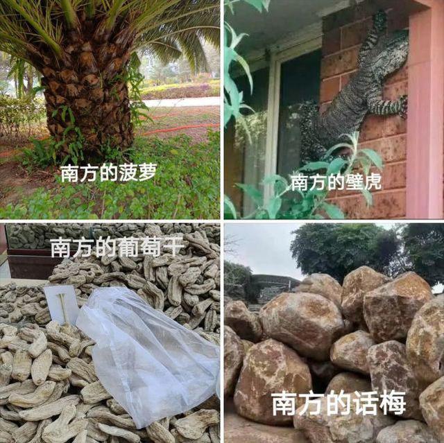 “老鼠贴粘到一只小可爱,网友让我自首争取死缓!”这是为啥? “老鼠贴粘到一只小可爱,网友让我自首争取死缓!”这是为啥?
