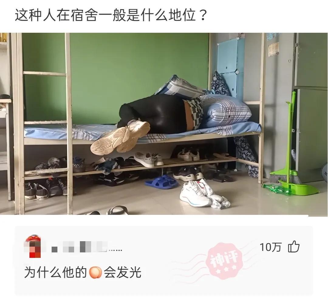 “老鼠贴粘到一只小可爱，网友让我自首争取死缓！”这是为啥？