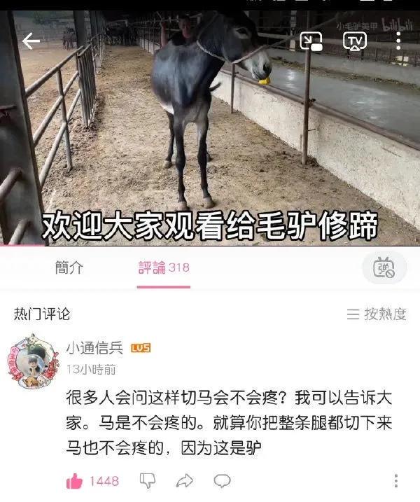 “老鼠贴粘到一只小可爱，网友让我自首争取死缓！”这是为啥？