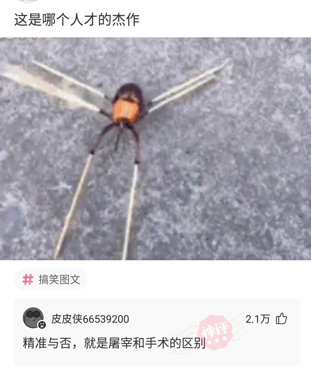 “老鼠贴粘到一只小可爱，网友让我自首争取死缓！”这是为啥？