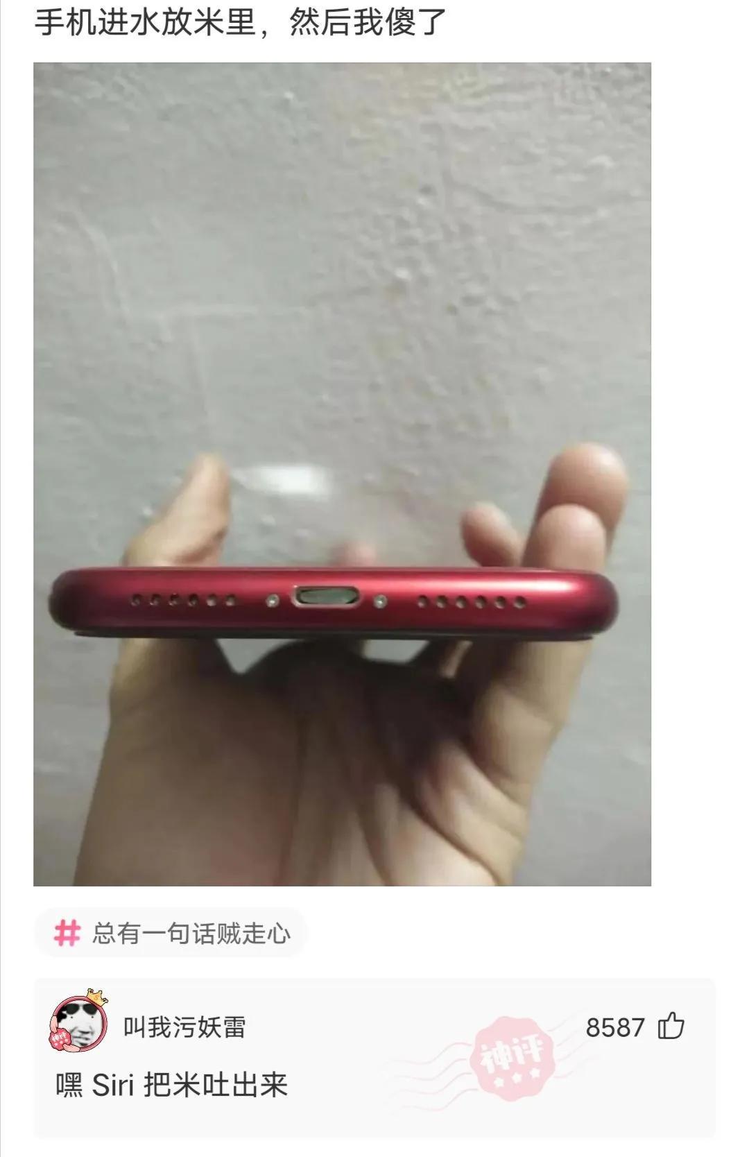 “老鼠贴粘到一只小可爱,网友让我自首争取死缓!”这是为啥? “老鼠贴粘到一只小可爱,网友让我自首争取死缓!”这是为啥?