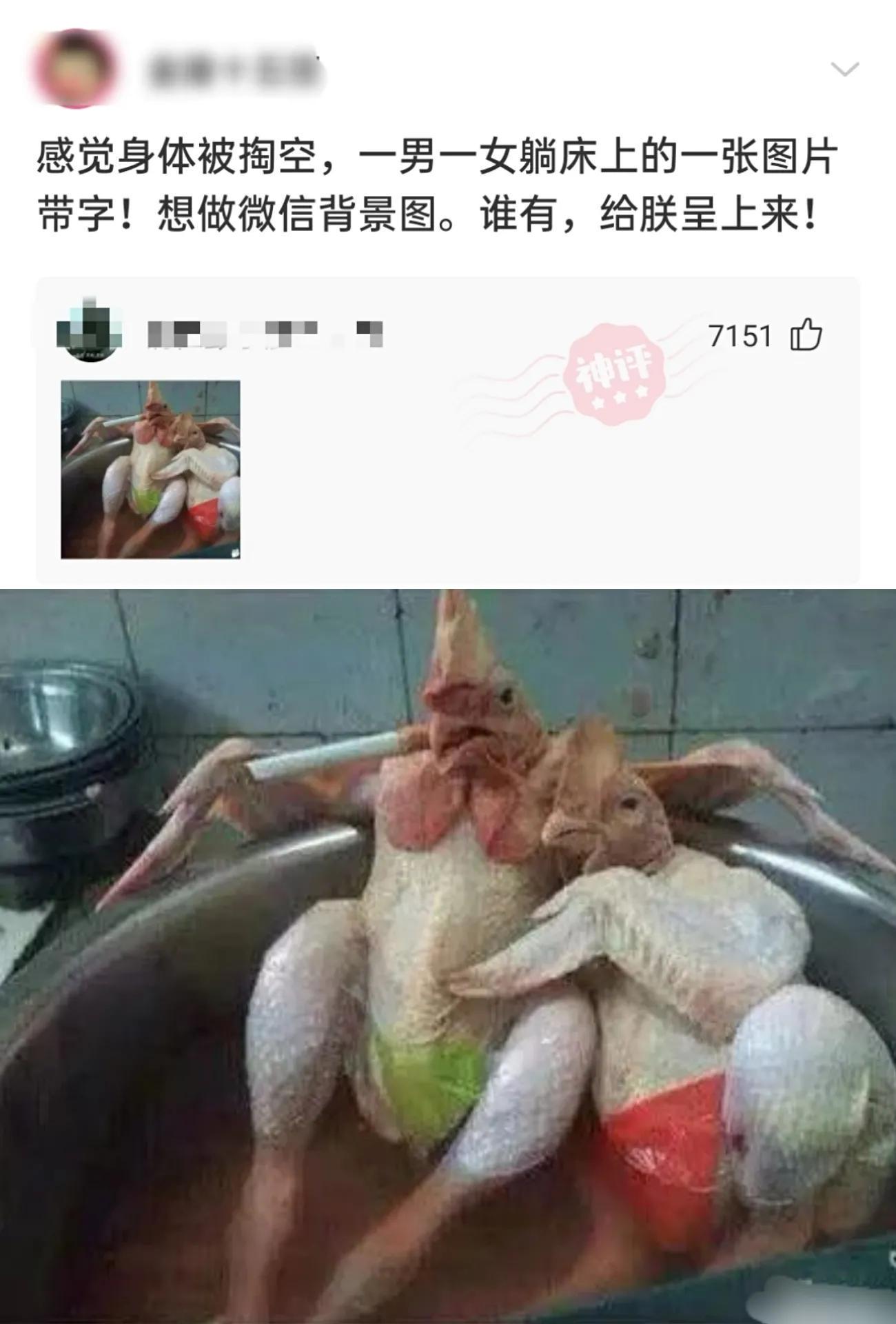 “老鼠贴粘到一只小可爱,网友让我自首争取死缓!”这是为啥? “老鼠贴粘到一只小可爱,网友让我自首争取死缓!”这是为啥?