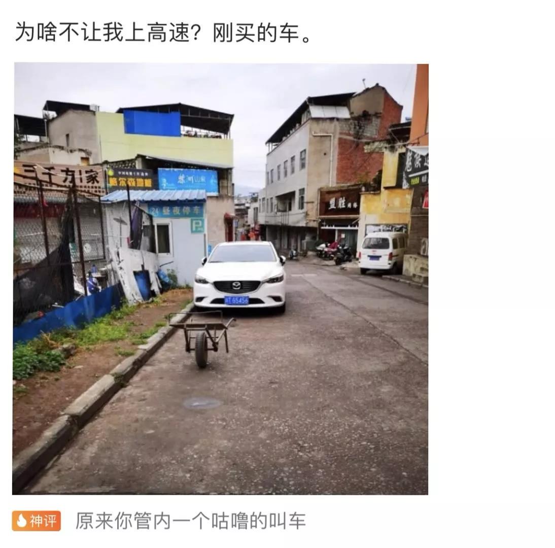 “老鼠贴粘到一只小可爱,网友让我自首争取死缓!”这是为啥? “老鼠贴粘到一只小可爱,网友让我自首争取死缓!”这是为啥?