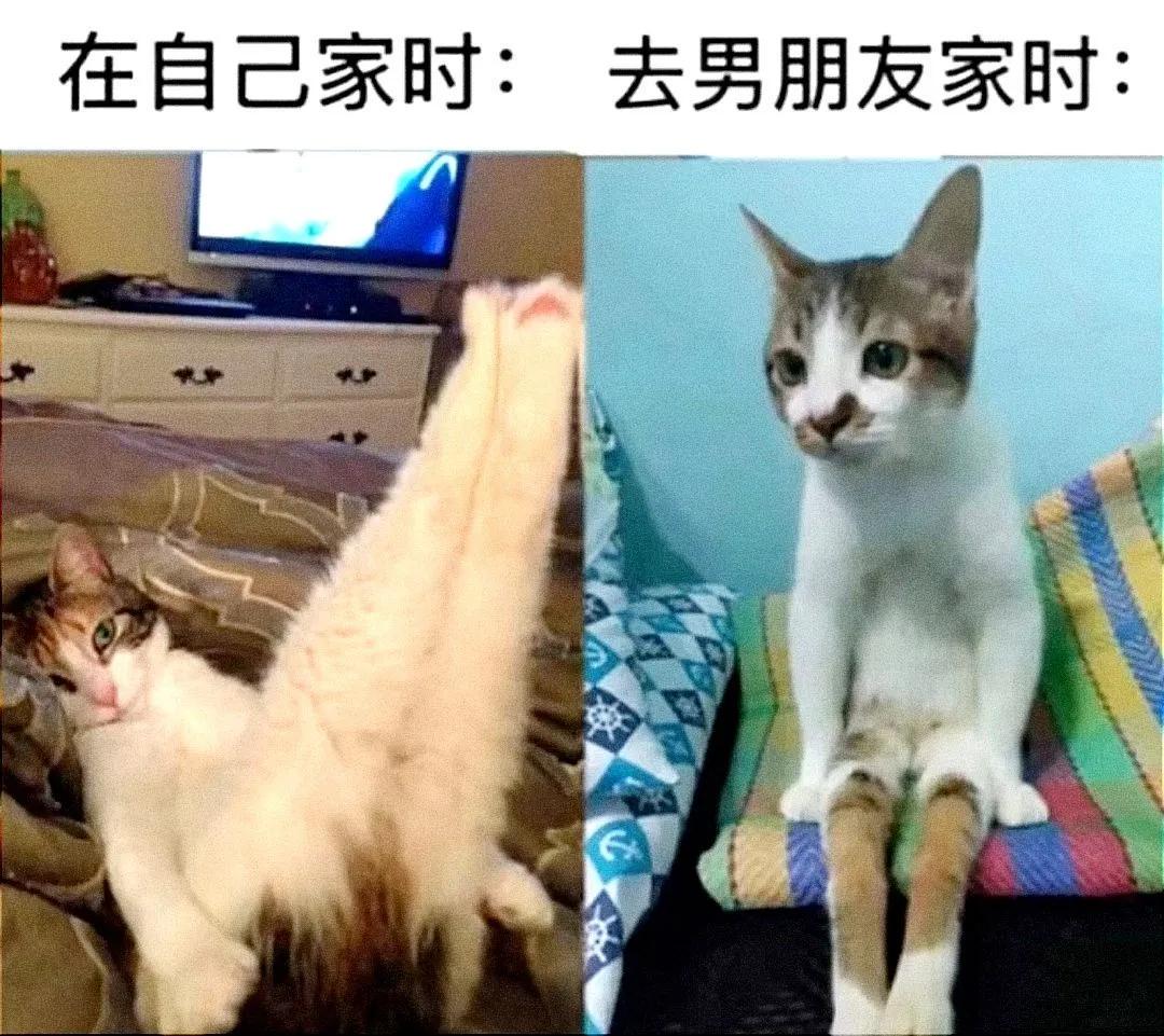 25岁小伙找了43岁老阿姨,关键还挺漂亮,真是血赚啊! 25岁小伙找了43岁老阿姨,关键还挺漂亮,真是血赚啊!