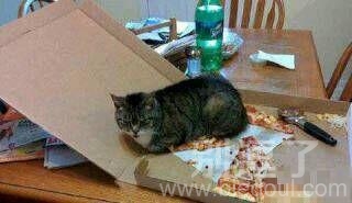 为了肚子需要买一个电热毯了 为了肚子需要买一个电热毯了