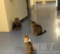 一家三口在开会吗? 一家三口在开会吗?