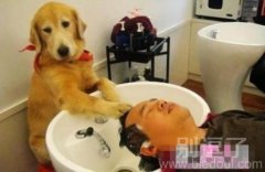 不知洗的干净不? 不知洗的干净不?