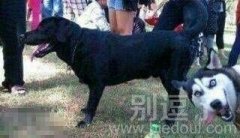 有事没事凑个热闹 有事没事凑个热闹